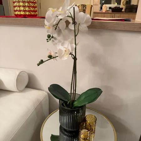 Sea View Penthouse アパート オブゾー